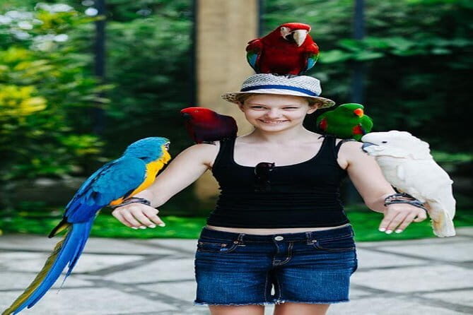 Private Tour Bali Bird Park And Ubud Tour - What the Tour Entails: A Detailed Look