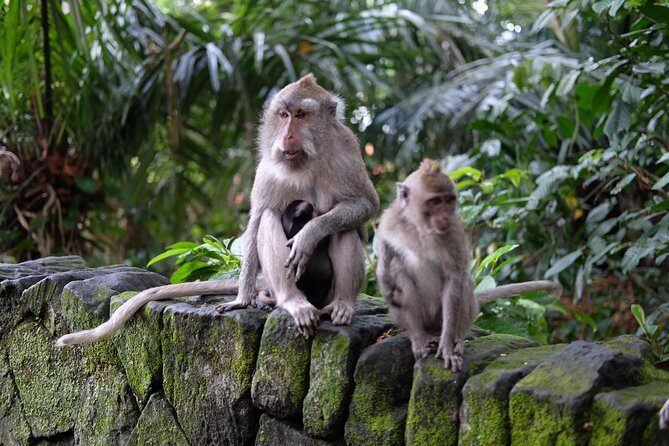 Private Tour: Bali in a Day - Itinerary Breakdown