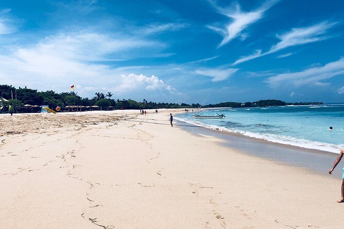 Private Tour: Bali in a Day - Practical Aspects