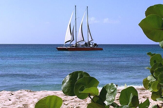 Private Tour: Barbados Catamaran Snorkeling Cruise - A Complete Look at the Barbados Catamaran Snorkeling Cruise