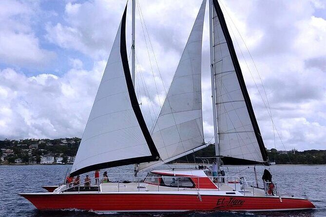Private Tour: Barbados Catamaran Snorkeling Cruise - Final Thoughts