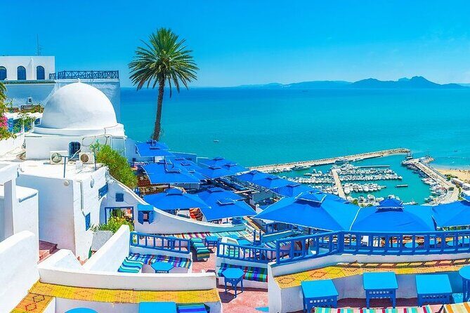 Private Tour Bardo Museum, Carthage, Sidi Bou Said and Medina - Key Points