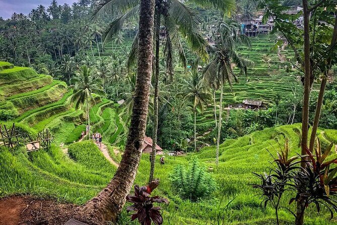 Private Tour: Best of Bali - All Inclusive Tickets - Exploring Bali in a Day: What’s It Really Like?