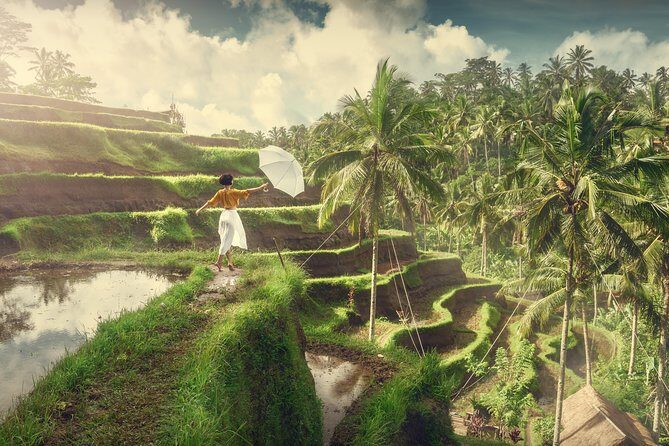 Private Tour: Best of Bali - All Inclusive Tickets - What’s Included and What to Expect