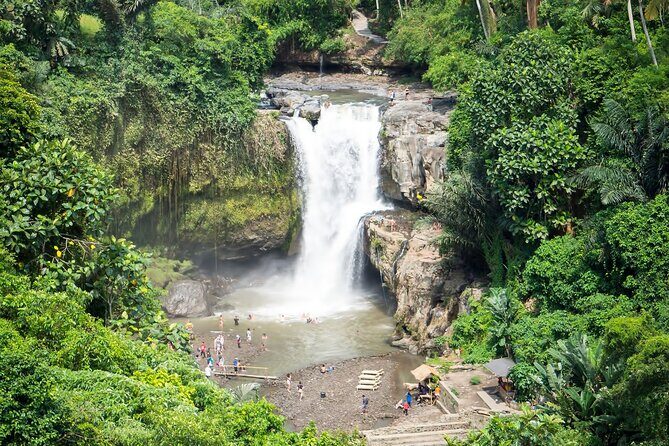 Private Tour: Best of Bali - All Inclusive Tickets - Analyzing the Value