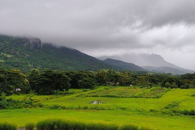 Private Tour: Best of Nadi Highlights - What to Expect on This Nadi Highlights Tour