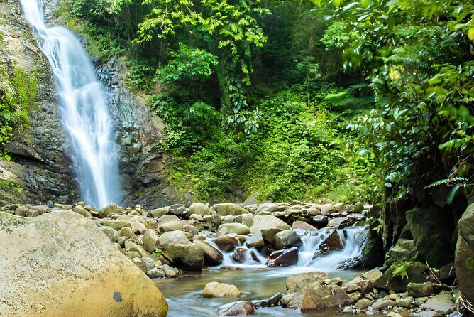 Private Tour Biausevu Waterfall and Fijian Village Experience - Exploring the Biausevu Waterfall and Fijian Village Experience: An In-Depth Review
