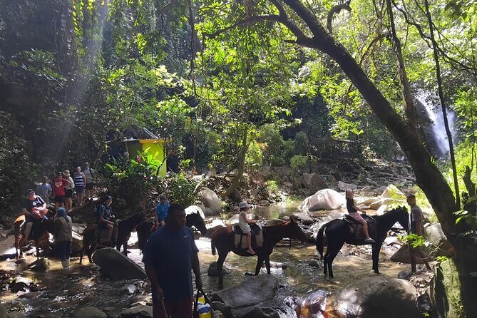 Private Tour Biausevu Waterfall and Fijian Village Experience - Final Thoughts: Is This Tour Worth It?
