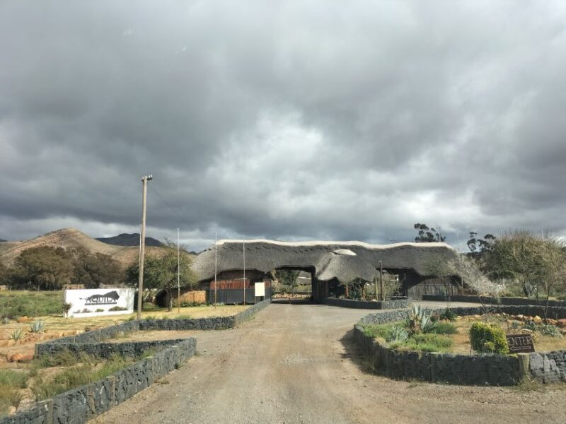 Private Tour: Big 5 Safari, Experience the wild animals - An Honest Look at the Private Big 5 Safari from Cape Town