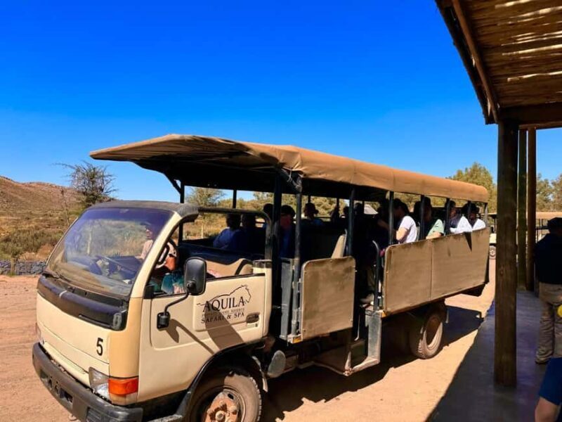 Private Tour: Big 5 Safari, Experience the wild animals - FAQ