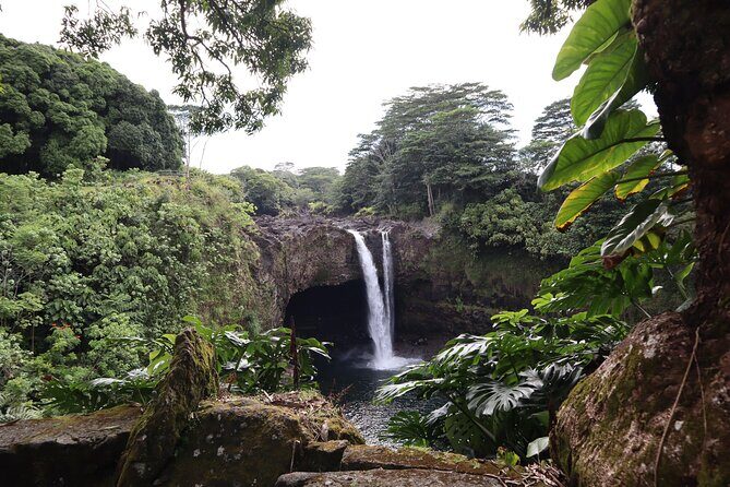 Private Tour Big Island Coffee, Beaches, Volcanos, Waterfalls - Hilo: Waterfalls, Gardens, and Local Charm