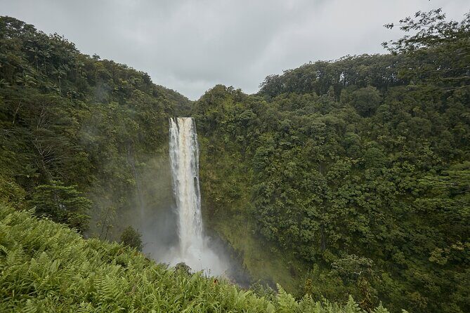 Private Tour Big Island Zipline over KoleKole Falls - An In-Depth Look at the Tour