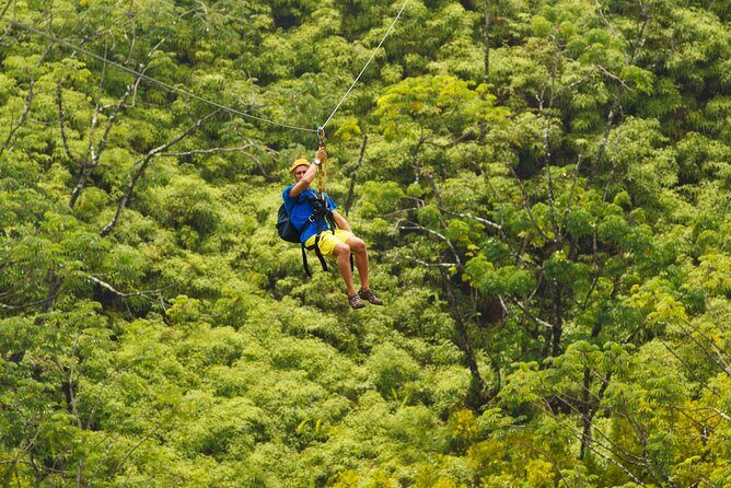 Private Tour Big Island Zipline over KoleKole Falls - Practical Details and Considerations