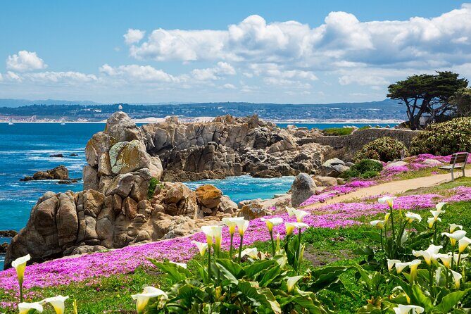 Private Tour Big Sur McWay Falls California Coast - Introduction