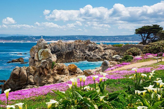 Private Tour Big Sur McWay Falls California Coast - Iconic Landmarks: Bixby Bridge and Pfeiffer Big Sur State Park