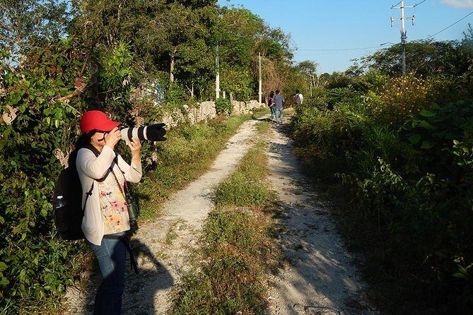 Private Tour: Birdwatching Cozumel Island - Who Will Love This Tour?