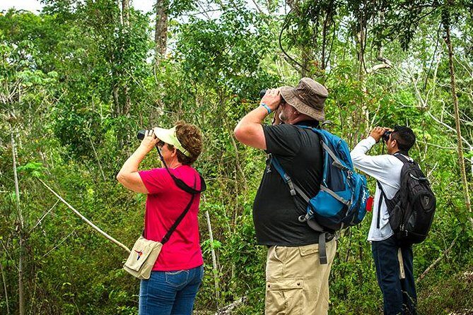 Private Tour: Birdwatching from Cancun - Final Thoughts
