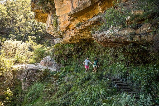 Private Tour: Blue Mountains Hiking & Nature - An Introduction to the Blue Mountains Tour