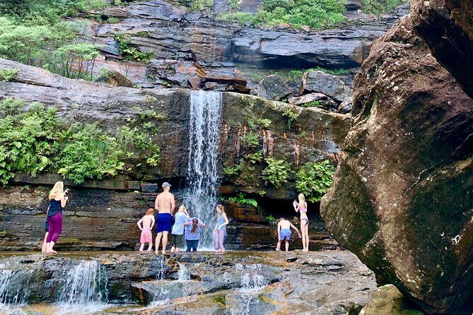 Private Tour: Blue Mountains Hiking & Nature - Overall Impression and Who Should Book