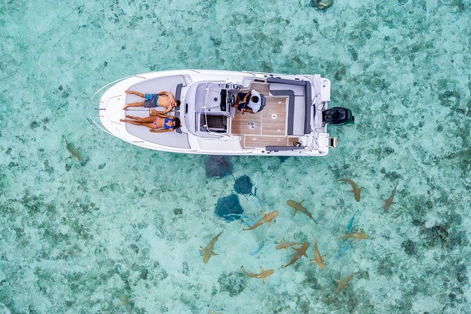 Private Tour: Bora Bora Lagoon Eco Snorkel Cruise - 3hrs or 6hrs - An In-Depth Look at the Bora Bora Lagoon Eco Snorkel Cruise