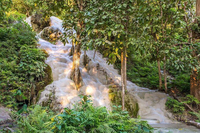 Private Tour: Bua Thong Sticky Waterfalls Tour - Detailed Review of the Bua Thong Sticky Waterfalls Private Tour