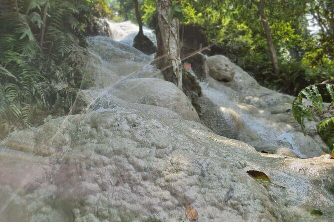Private Tour: Bua Thong Sticky Waterfalls Tour - The Sum Up: Is This Tour Worth It?