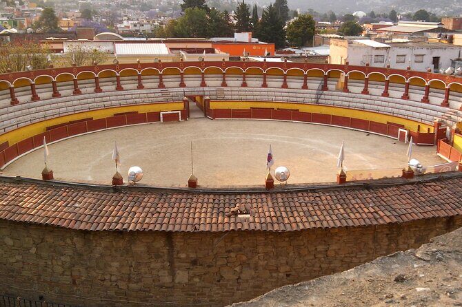 Private Tour Cacaxtla and Tlaxcala - Who Is This Tour Best For?
