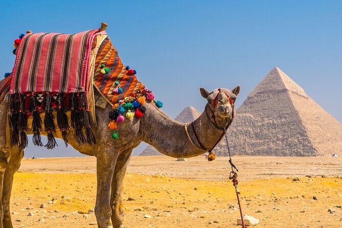 Private Tour: Cairo Day Trip from Hurghada, Including Round-Trip Flights, Giza Pyramids, Sphinx, and Egyptian Museum - Final Thoughts: Who Will Love This Tour?