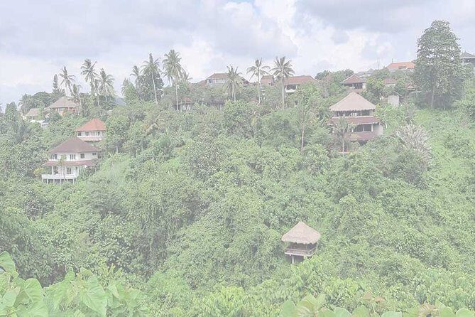 Private Tour: Campuhan Ridge Walk, Ubud Rice Terrace & Ubud Palace - An Introduction to the Experience