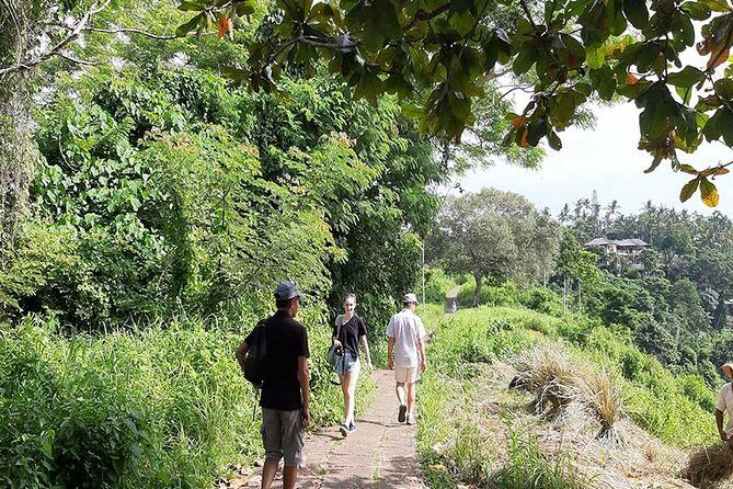 Private Tour: Campuhan Ridge Walk, Ubud Rice Terrace & Ubud Palace - Who Will Love This Tour?