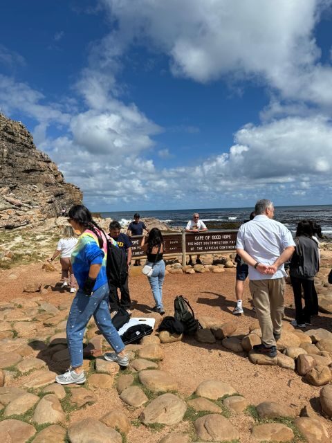 Private Tour: Cape Point, Penguins, Chapmans Peak & more... - The Sum Up