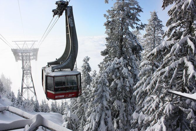 Private Tour: Capilano Suspension Bridge and Grouse Mountain - The Itinerary: A Deep Dive into the Day