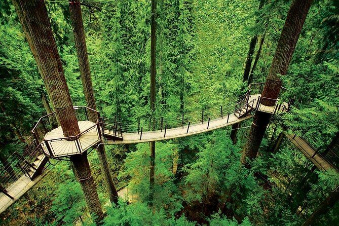 Private Tour: Capilano Suspension Bridge and Grouse Mountain - In The Sum Up