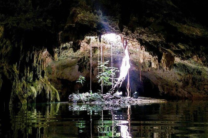 Private Tour Cenotes Sac Actun The Longest Underground River - What Our Reviewers Say