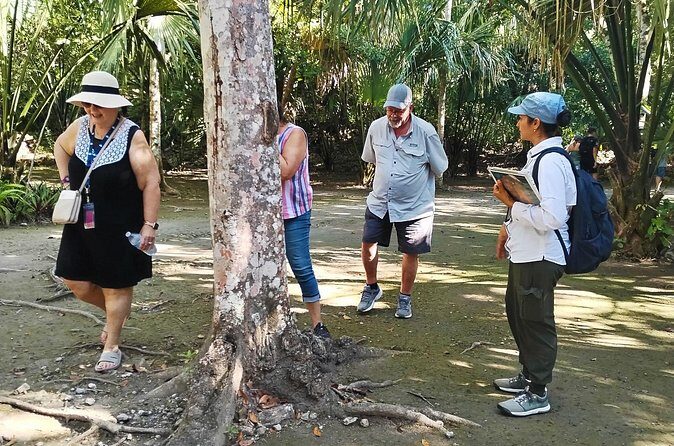 PRIVATE TOUR Chacchoben Mayan Ruins from Costa Maya - Final Thoughts