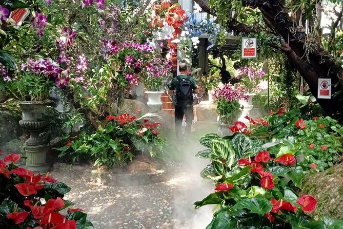 Private Tour Chiang Rai 3 Wonderful Temples & Lalitta Cafe - Who Will Get the Most from This Tour?