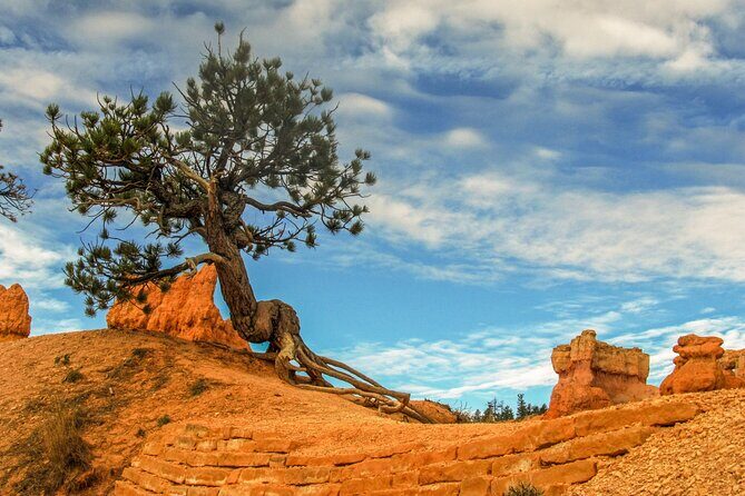 Private Tour Colorado Plateau from Sedona - Introduction