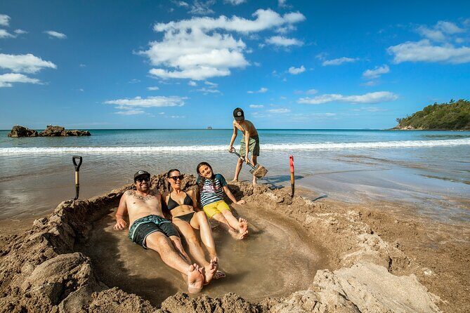 Private Tour - Coromandel Beach, Caves & Forest - Key Points
