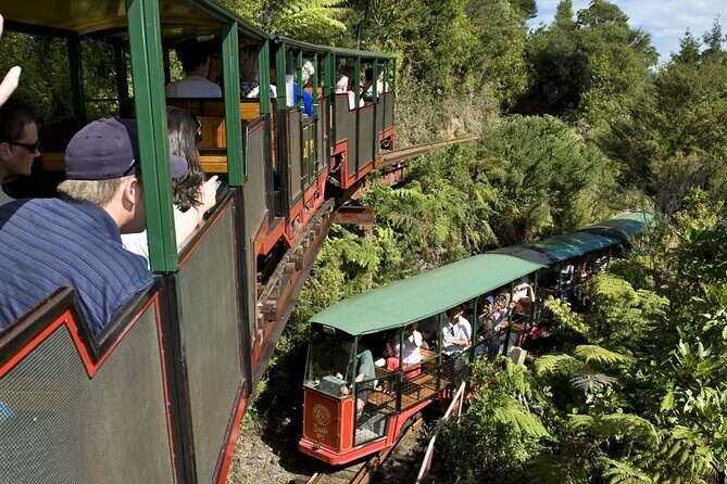 Private Tour - Coromandel Beach, Caves & Forest - Why This Tour Offers Great Value