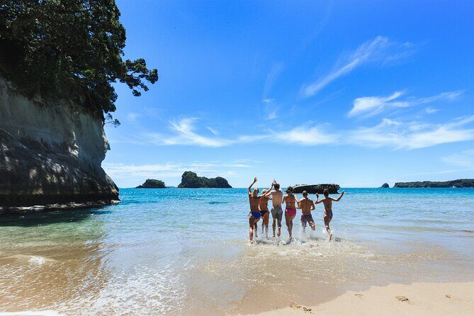 Private Tour - Coromandel Beach, Caves & Forest - Who Is This Tour Best For?