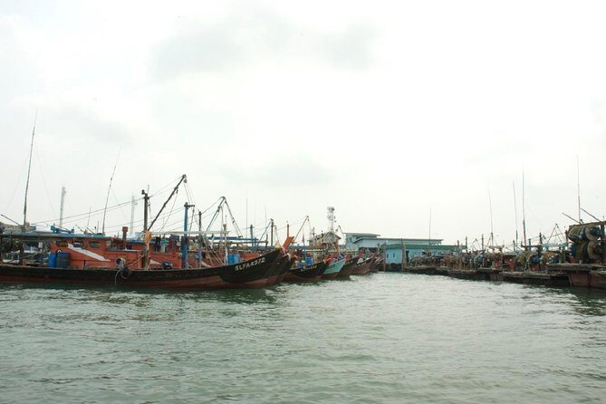 Private Tour: Crab Island Sightseeing Boat Ride and Seafood Lunch - Who Will Love This Tour?