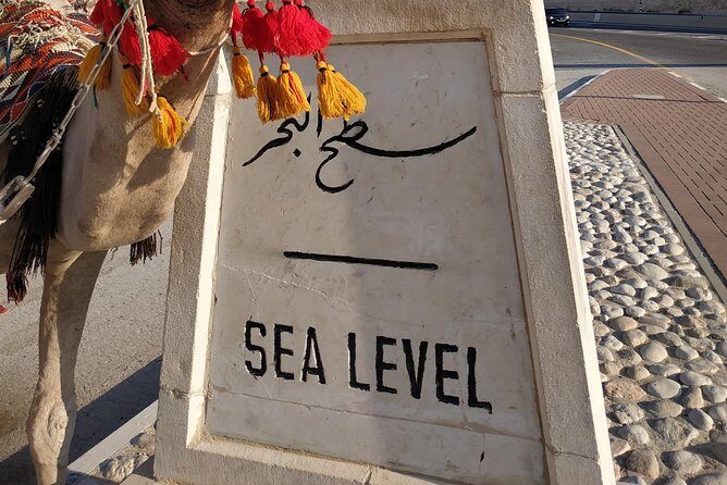 Private Tour: Dead Sea and Masada - An In-Depth Look at the Itinerary