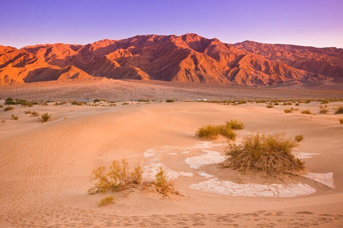 Private Tour Death Valley National Park from Las Vegas - Who Should Consider This Tour?