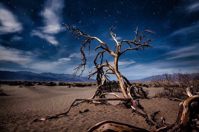 Private Tour Death Valley National Park from Las Vegas - The Sum Up