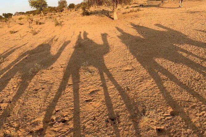 Private Tour :Desert Safari & Bishnoi Village SafarI - FAQ