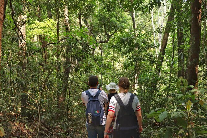 Private Tour Doi Inthanon And Trekking Nature Trail, Chiang Mai - Who Should Consider This Tour?