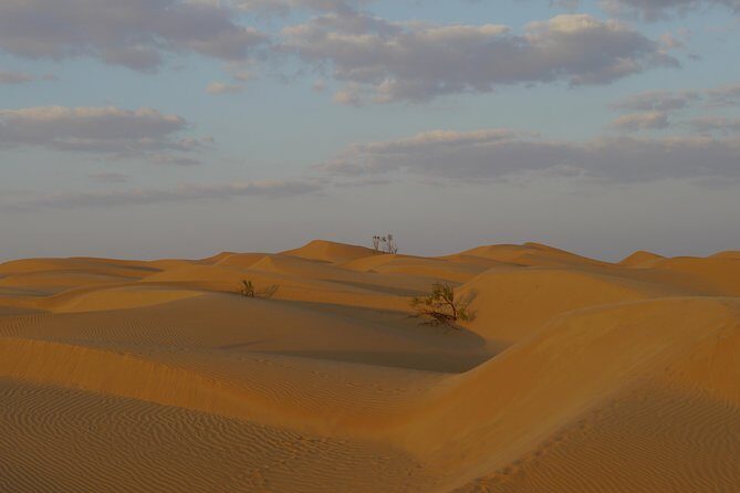 Private tour - Empty Quarter desert adventure - Wadi Dawka + Ubar - Who Will Love This Tour?