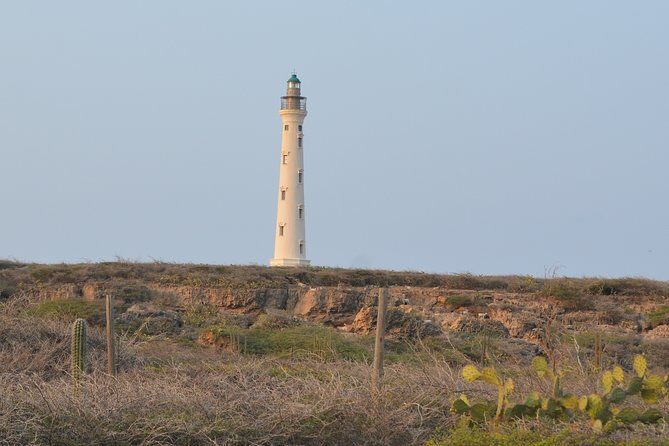 Private Tour: Essential Tour of Aruba - Who Would Love This Tour?