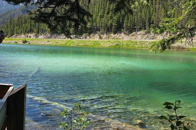 Private Tour Experience at Radium Hot Springs and Kootenay Park - Frequently Asked Questions