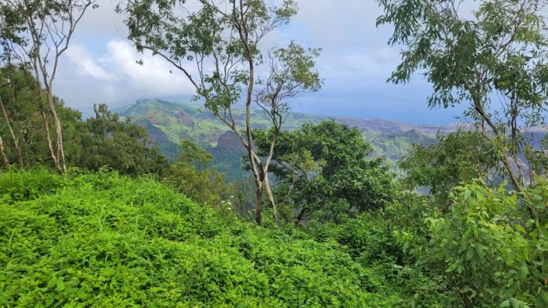 Private tour: Explore Santiago Island - Who Will Love This Tour?